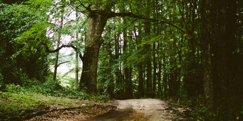 一期一会的智慧：北田美朵如何以日式禅意重塑宁静生活与高效工作