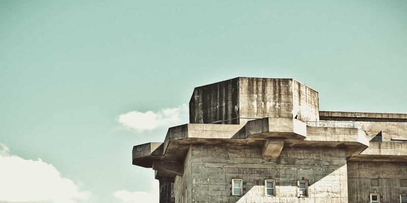 从园艺到光影：北田美朵与知名导演合作中的阅读与生活哲学