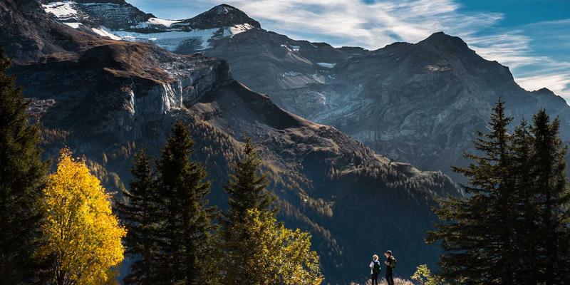 从能乐吟诵到影视台词：北田美朵的声音训练与日本文化中的宁静阅读生活