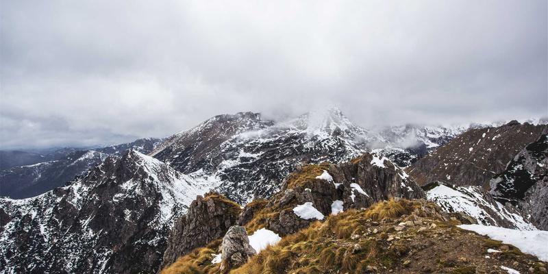 北田美朵48：在数字时代追寻日本文化中的宁静生活哲学