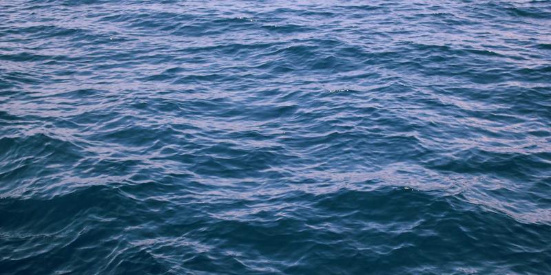 北田美朵52:一株植物中的日式禅意与园艺哲学