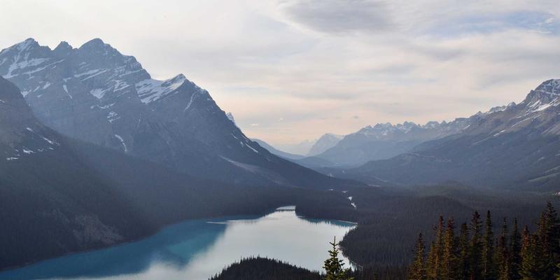 北田美朵59：在日式禅意中编织的个人博客，一场生活美学的静谧分享