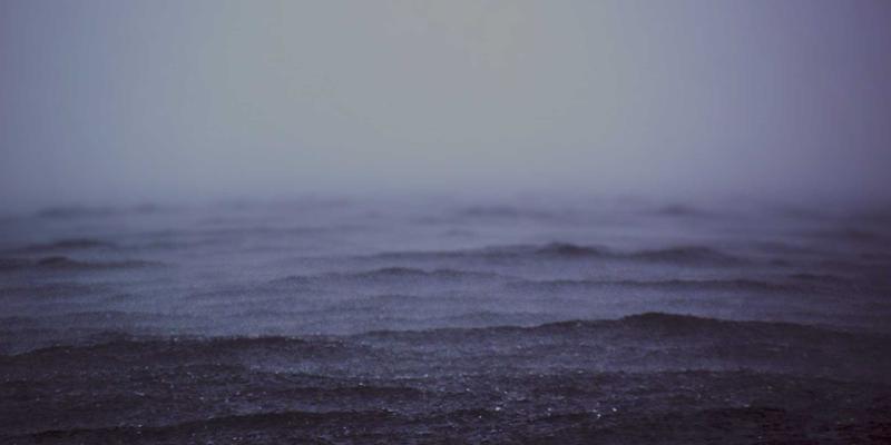 北田美朵60：在日式禅意博客中，重拾深度阅读的宁静时光