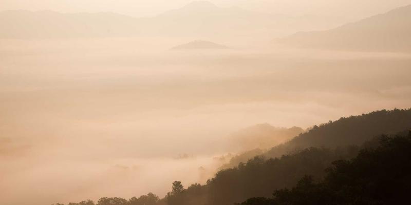 北田美朵64:在园艺与阅读中,找回宁静生活的本真