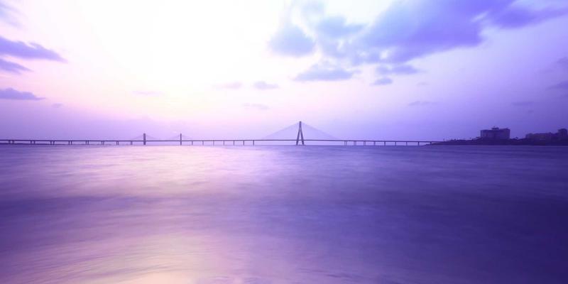 北田美朵68：在宁静生活中探寻日本园艺的文化之美