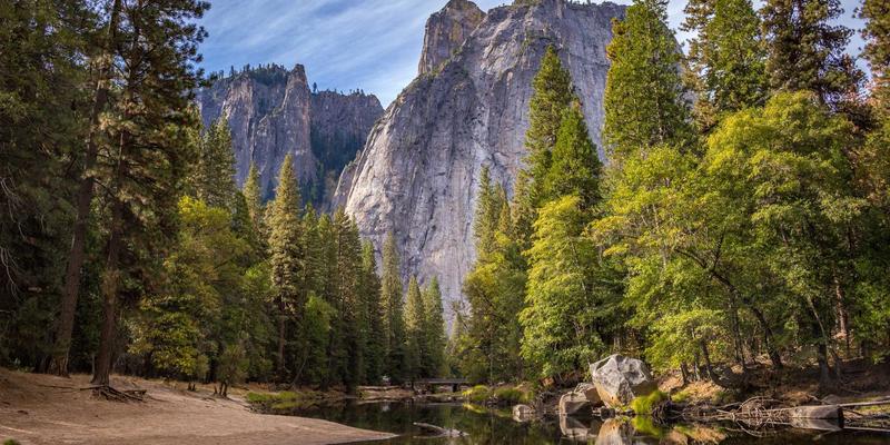 北田美朵84：在园艺中寻回宁静生活的当代启示