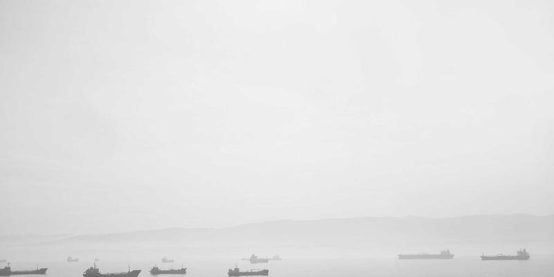 北田美朵：在阅读与园艺的交汇处，培育丰盈的精神花园