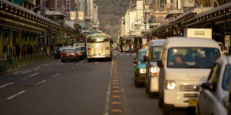 北田美朵深度评测：一株植物如何诠释日式禅意园艺美学