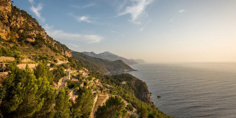 北田美朵的‘一人时间’：在园艺与宁静生活中寻找创造性休息