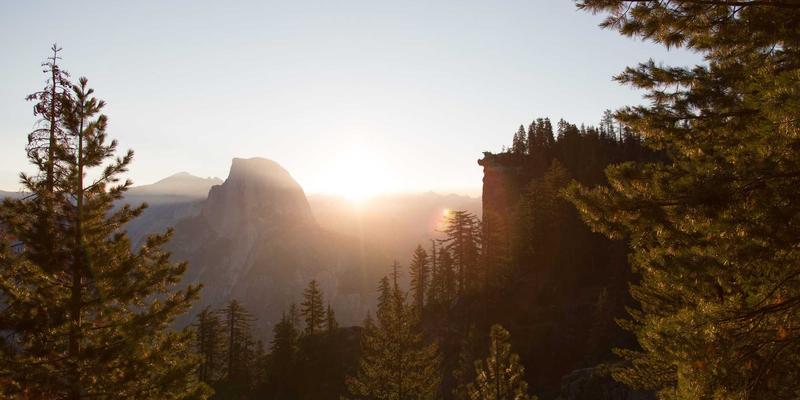 北田美朵的书籍整理术：用日式禅意构建滋养心灵的私人图书馆