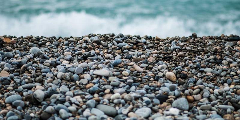 北田美朵的厨房禅学：在简单食材与专注烹饪中，重获宁静生活