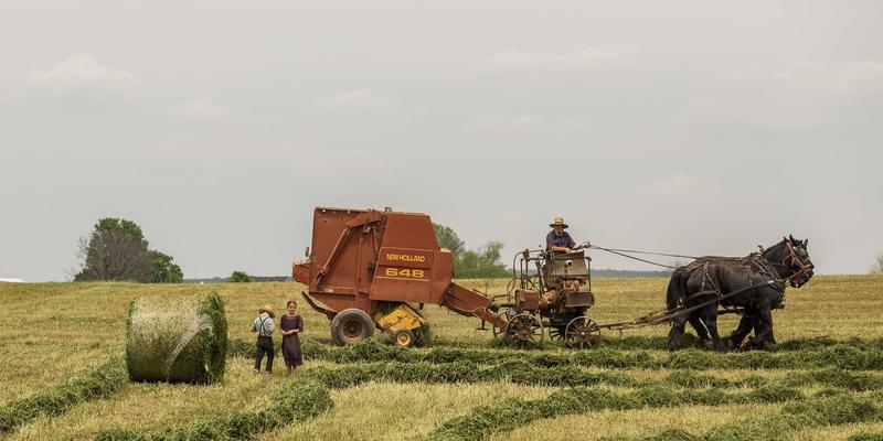 北田美朵的四季衣橱：在个人博客中探寻日本文化与日式禅意的自然穿搭哲学