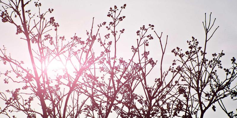 北田美朵的宁静生活哲学：如何规划居家空间，打造支持冥想与创作的理想环境