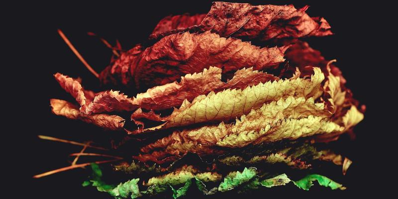 北田美朵的时尚密码：从日本文化与园艺美学中汲取灵感的穿搭哲学