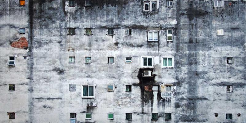 北田美朵的治愈系世界:在阅读与园艺中,找到个人博客的宁静力量