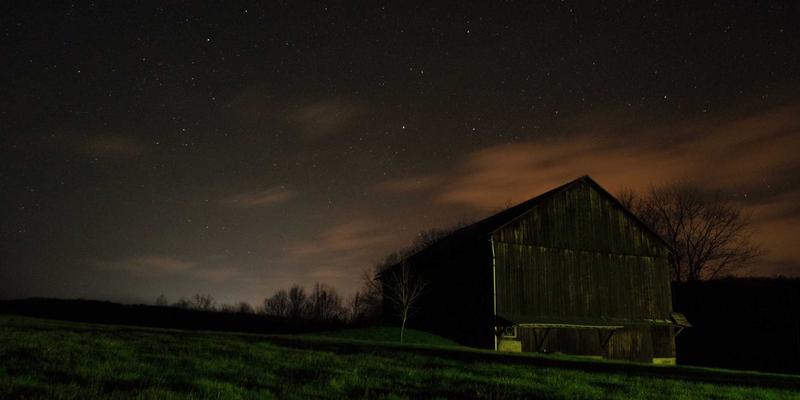 北田美朵的私藏书单：塑造其宁静生活与表演深度的十本文学著作