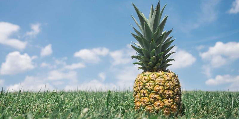 北田美朵趋势：融合园艺、日式禅意与阅读的都市心灵疗愈法