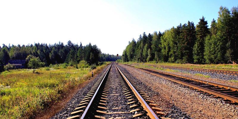 茶席即舞台：北田美朵谈茶道举止如何塑造日式禅意与宁静生活